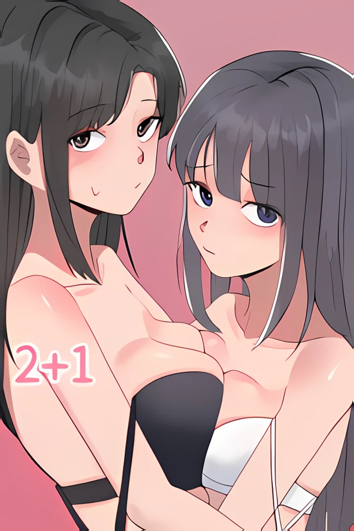 2+1 Cover